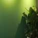 Photo green resin ceiling lamp