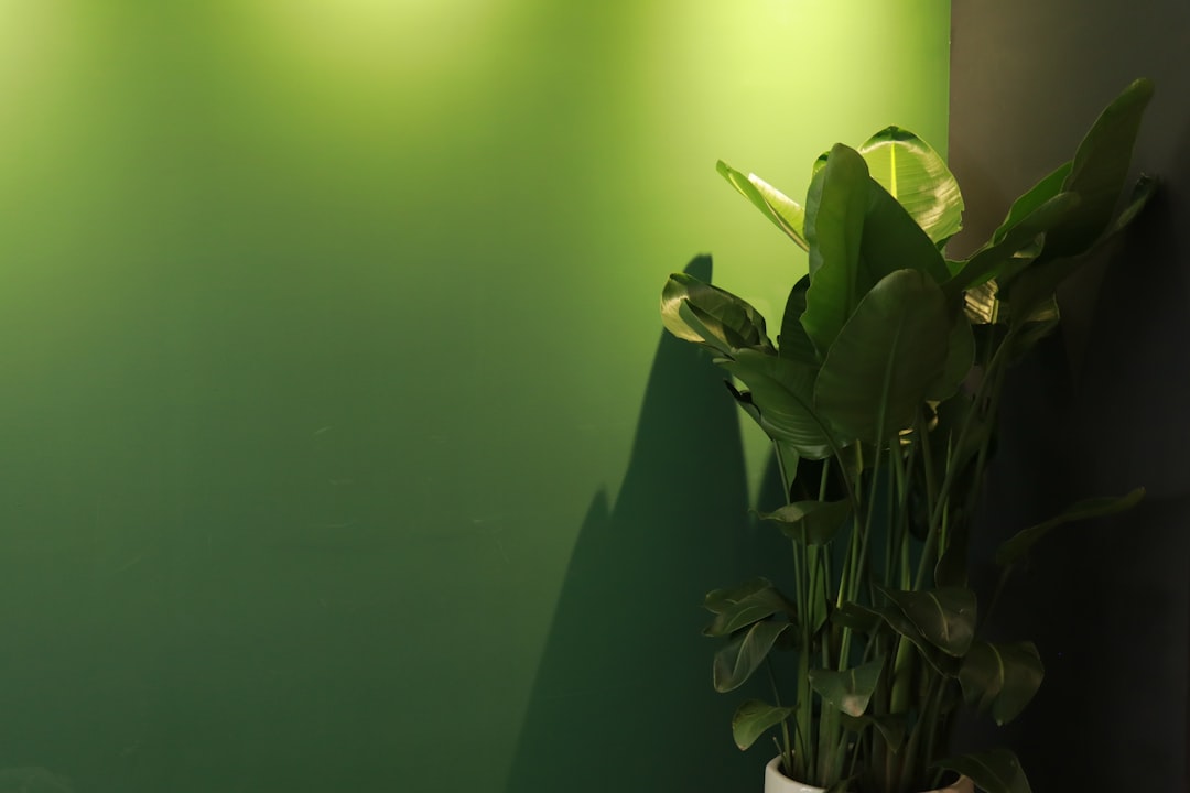 Photo green resin ceiling lamp