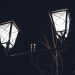 Photo lamp shade chandelier