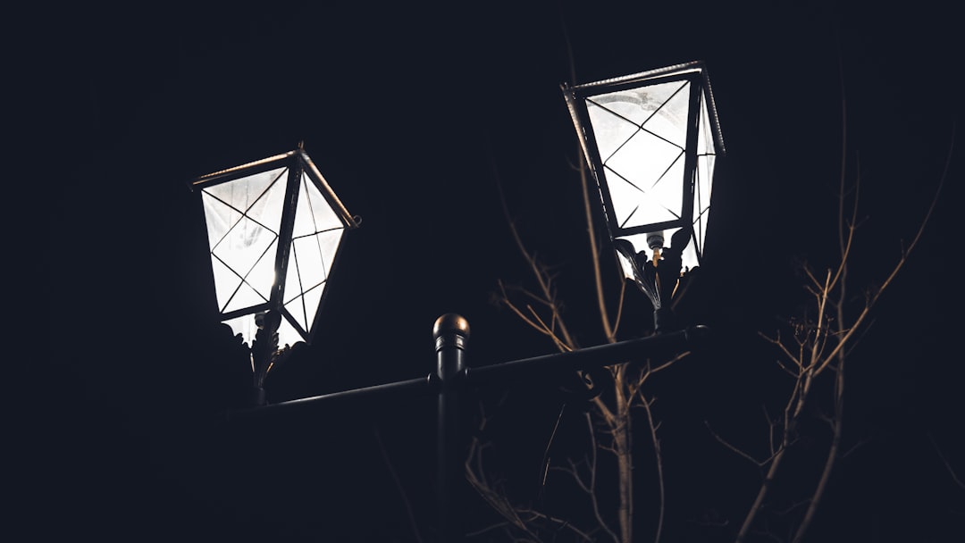 Photo lamp shade chandelier